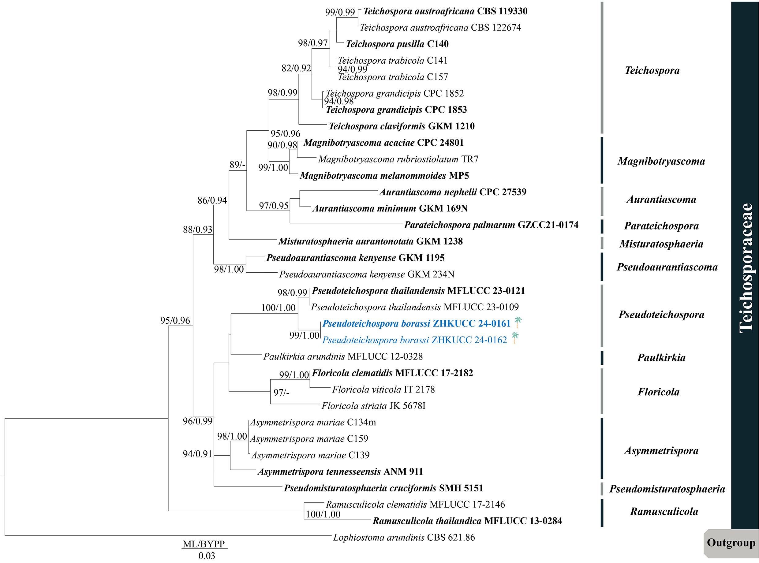 Figure 51